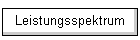 Leistungsspektrum